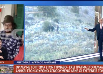 «Δεν πήγε μόνος του εκεί, δεν αποκλείεται η δολοφονία»: Μεγαλώνει το μυστήριο για το θάνατο του Βασίλη Καλογήρου